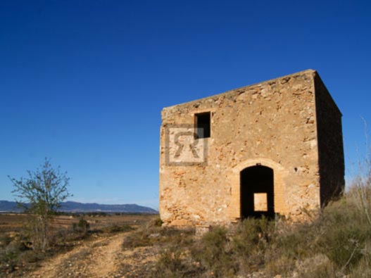 Terreno en venta con plantación de vid y caseta de piedra – Montferri (Tarragona)
