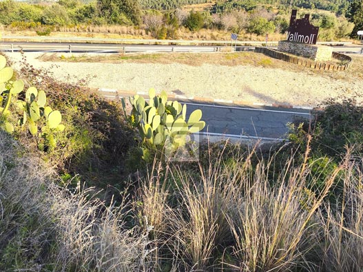 En venta parcela rústica de 1600m² para recreo | Vallmoll (Tarragona)