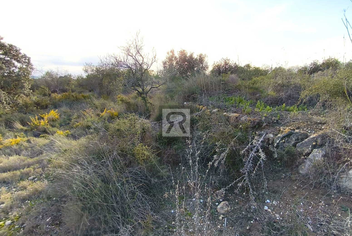 Parcela rústica de 1600m² para recreo | Vallmoll (Tarragona) - Balsa