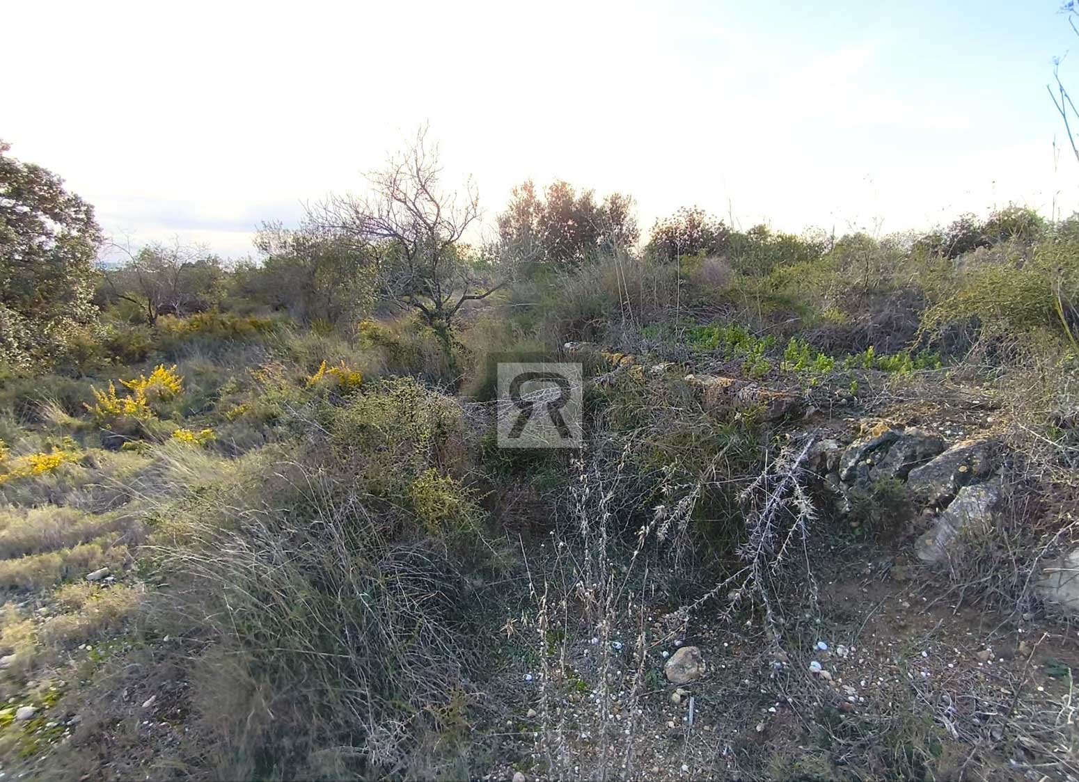 Parcela rústica de 1600m² para recreo | Vallmoll (Tarragona) - Balsa