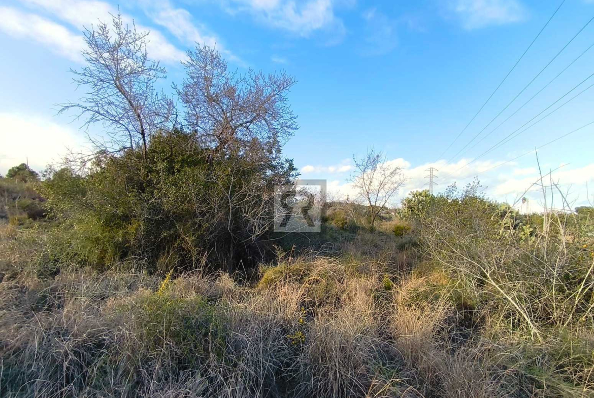 Parcela rústica de 1600m² para recreo | Vallmoll (Tarragona) - Barbacoa