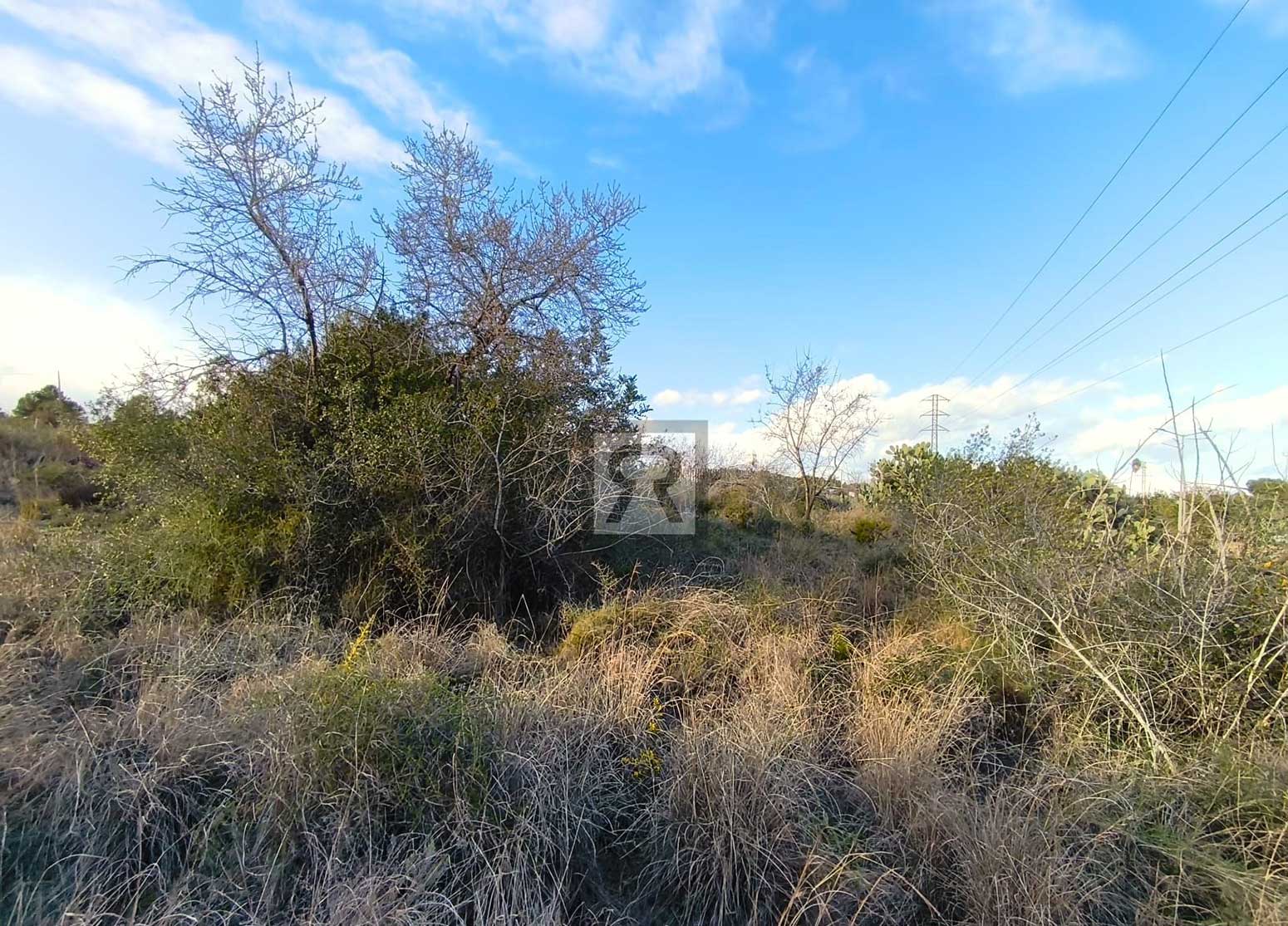 Parcela rústica de 1600m² para recreo | Vallmoll (Tarragona) - Barbacoa