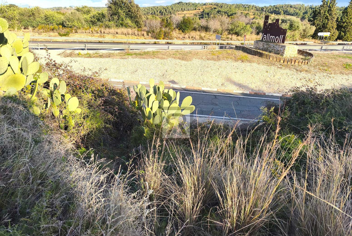 Parcela rústica de 1600m² para recreo | Vallmoll (Tarragona) - Cerca de Tarragona