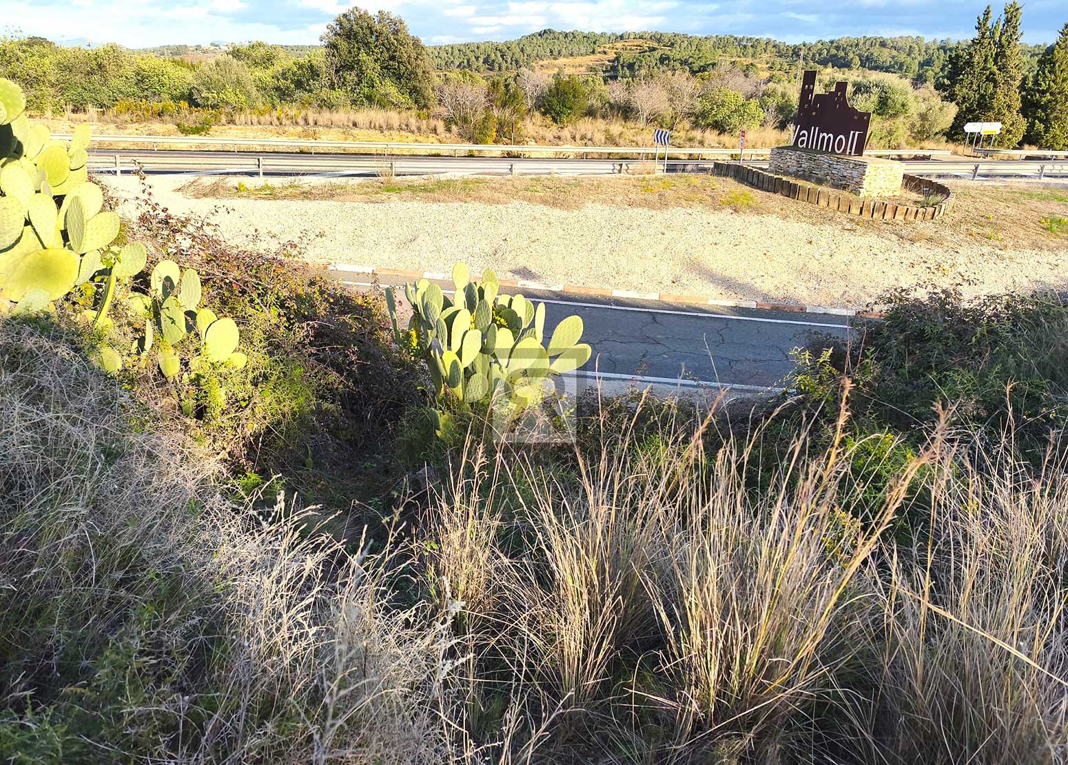Parcela rústica de 1600m² para recreo | Vallmoll (Tarragona) - Cerca de Tarragona