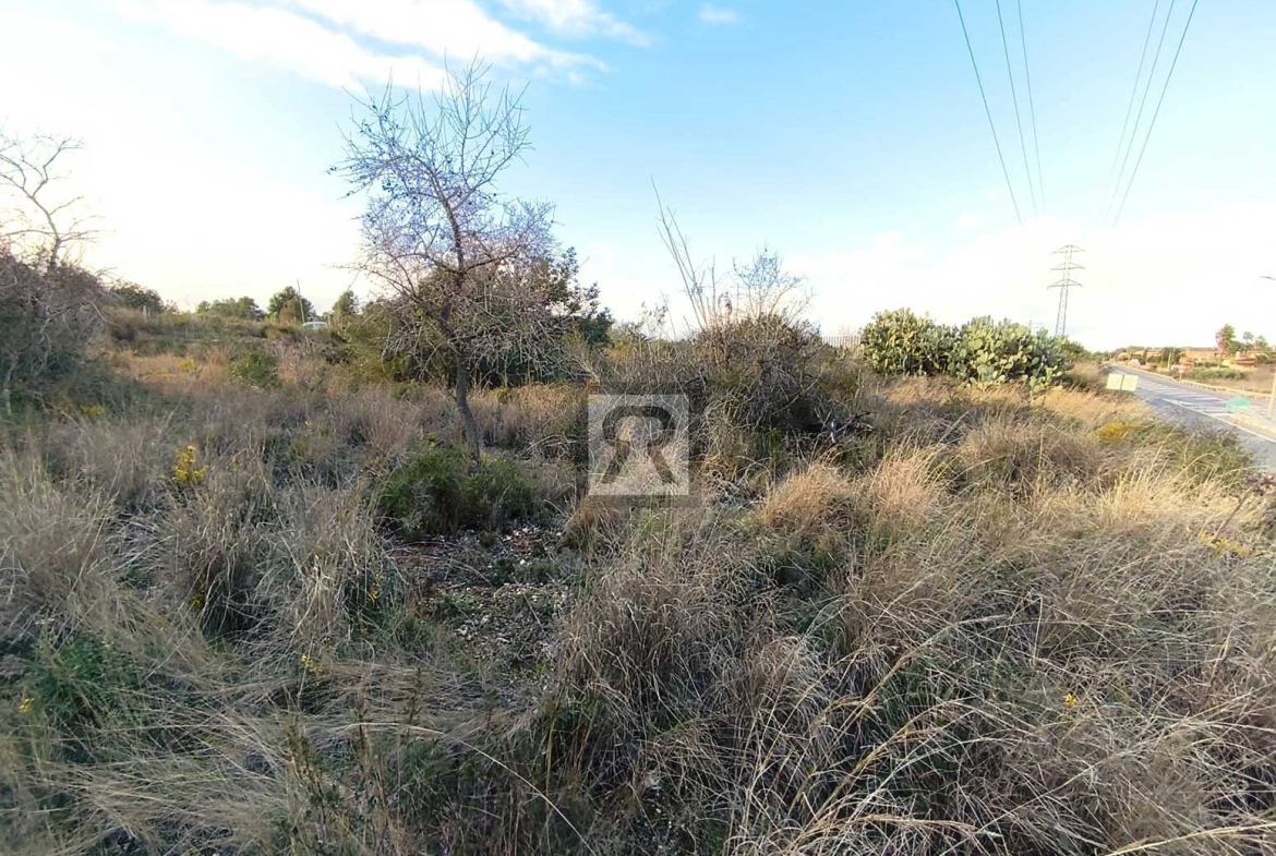 Parcela rústica de 1600m² para recreo | Vallmoll (Tarragona) - Finca económica