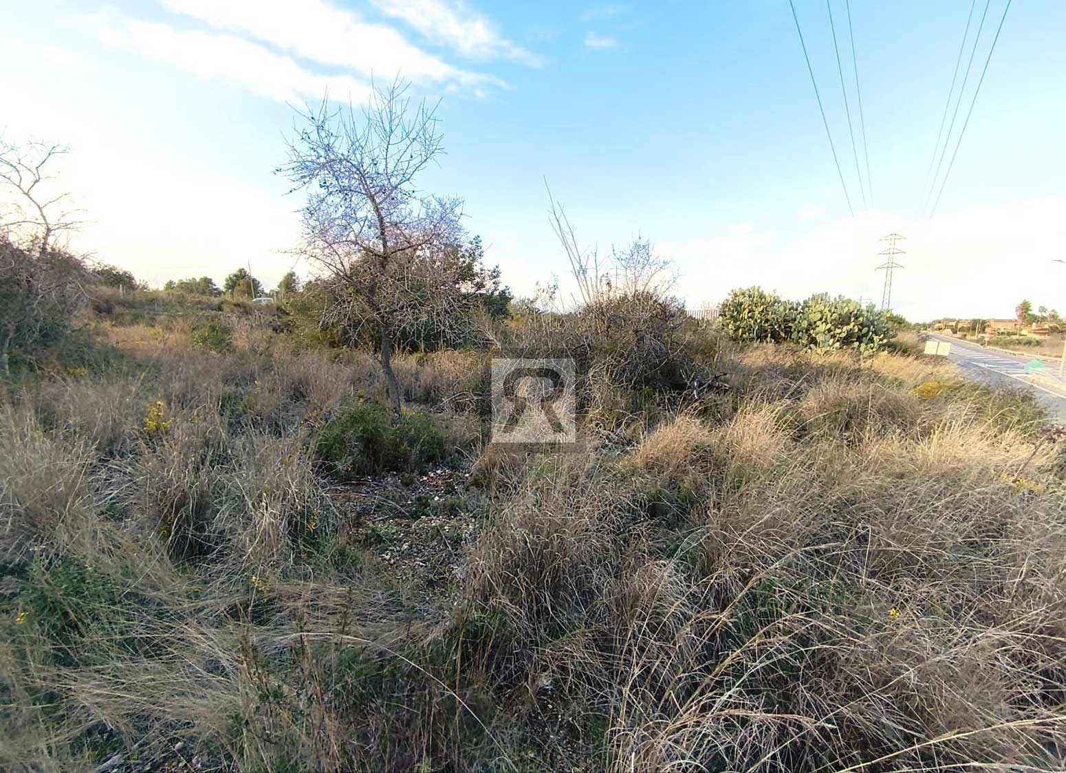 Parcela rústica de 1600m² para recreo | Vallmoll (Tarragona) - Finca económica