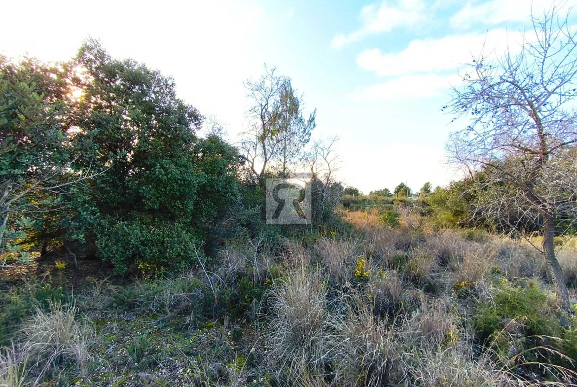 Parcela rústica de 1600m² para recreo | Vallmoll (Tarragona) - Ideal para huerta