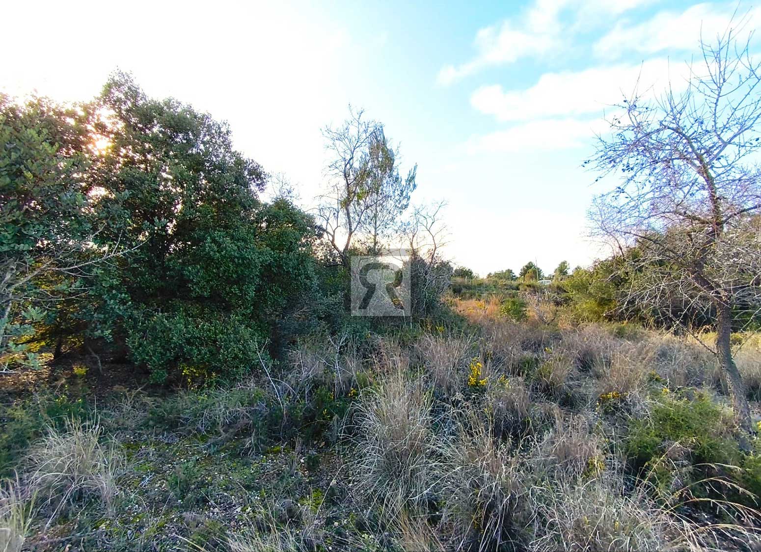 Parcela rústica de 1600m² para recreo | Vallmoll (Tarragona) - Ideal para huerta