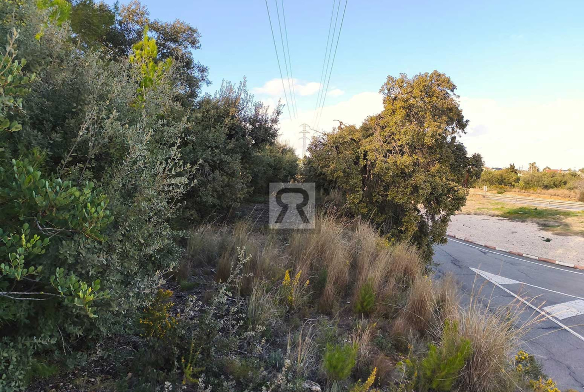 Parcela rústica de 1600m² para recreo | Vallmoll (Tarragona) - Para disfrutar