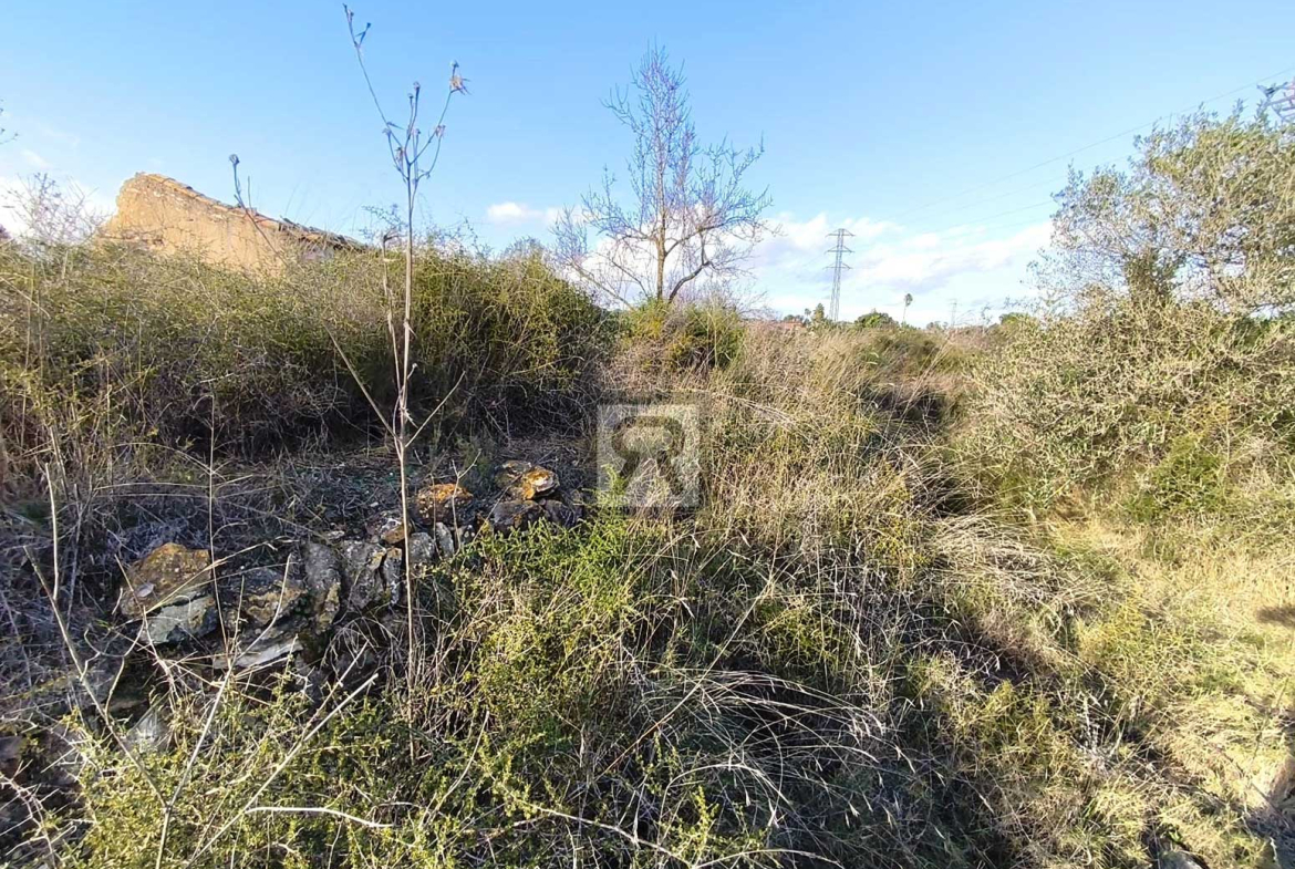Parcela rústica de 1600m² para recreo | Vallmoll (Tarragona) - Ideal para el recreo de fin de semana