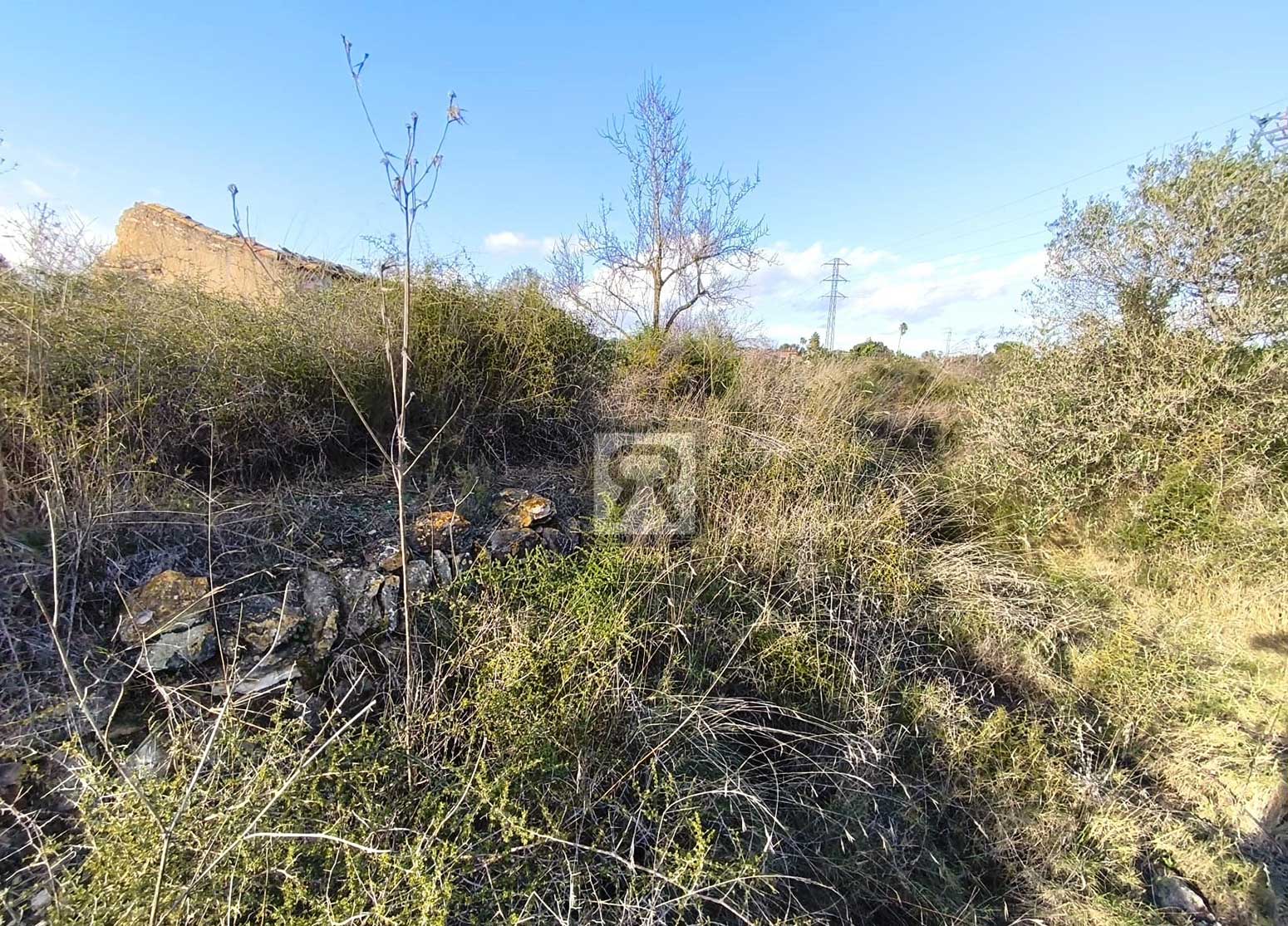Parcela rústica de 1600m² para recreo | Vallmoll (Tarragona) - Ideal para el recreo de fin de semana