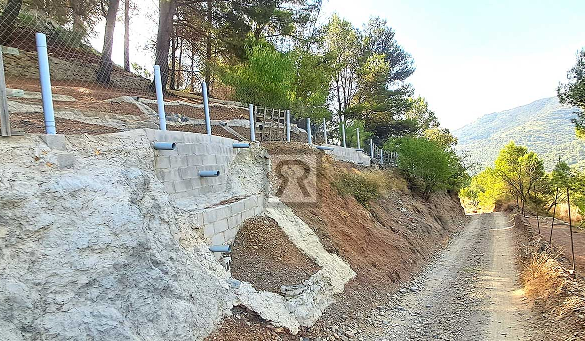 Finca de 5000m² con masía en montaña y con agua - La Selva del Camp (Tarragona) | Almendros