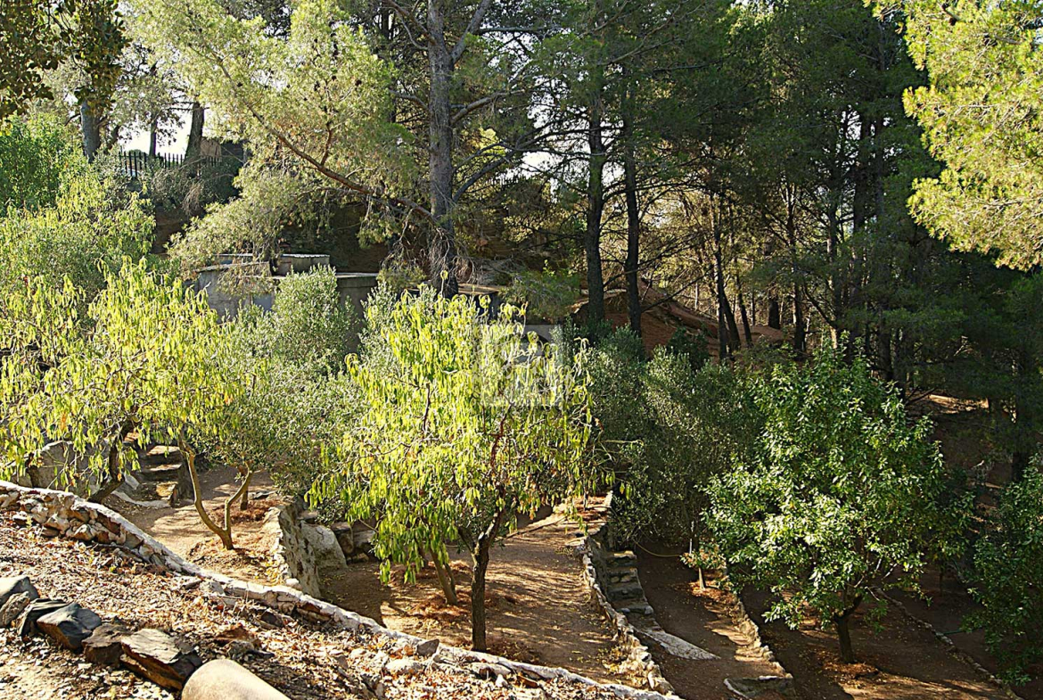 Finca de 5000m² con masía en montaña y con agua - La Selva del Camp (Tarragona) | Olivos