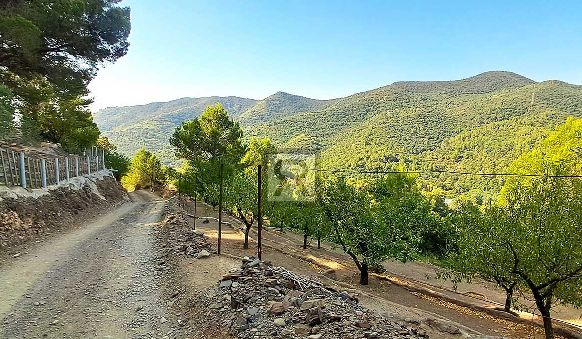 Finca de 5000m² con masía en montaña y con agua - La Selva del Camp (Tarragona) | Paisaje con vistas