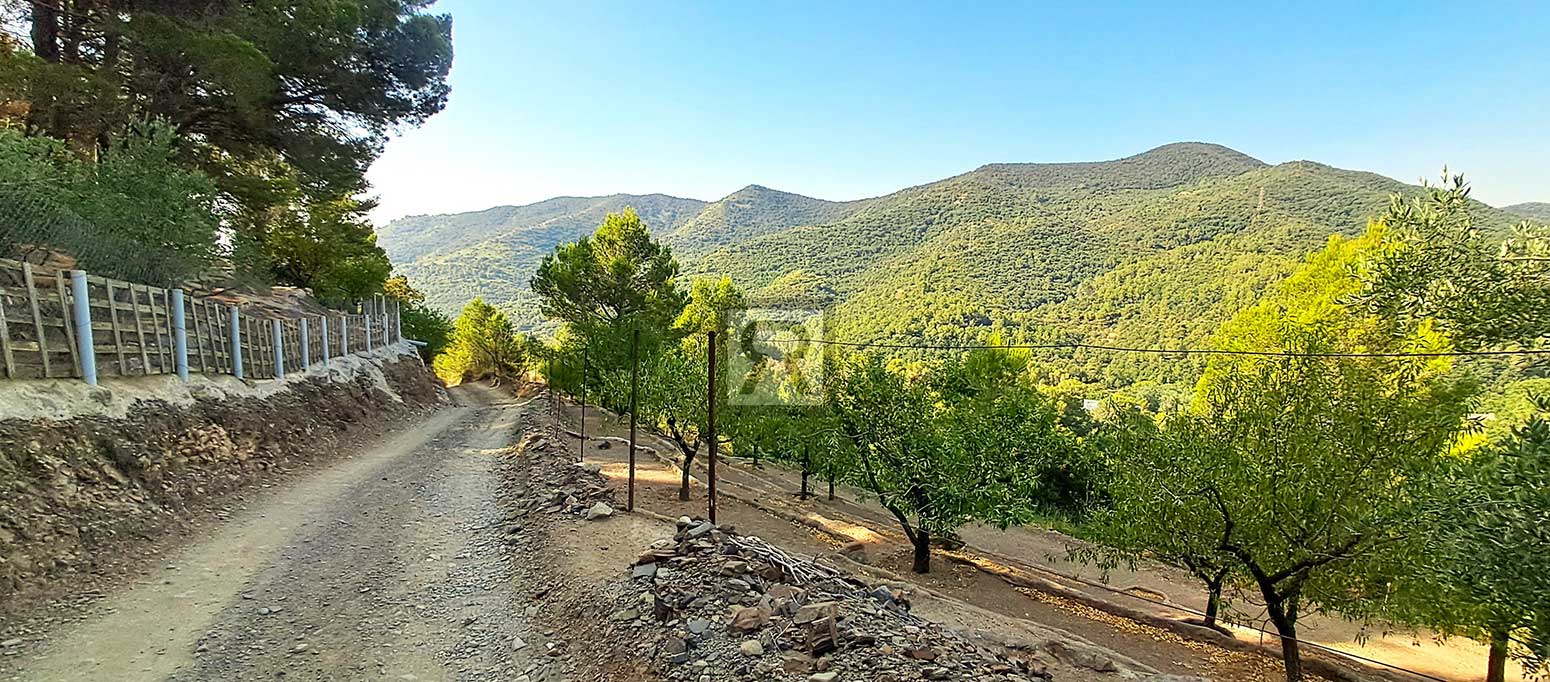 Finca de 5000m² con masía en montaña y con agua – La Selva del Camp (Tarragona) | Paisaje con vistas Finca de 5000m² con masía en montaña y con agua - La Selva del Camp (Tarragona) | Paisaje con vistas