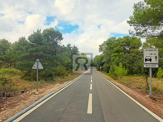 En venta finca rústica forestal de 20ha cerca de la carretera - Mont-ral (Tarragona)