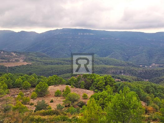 En venta finca rústica forestal de 1.8ha cerca del pueblo - Mont-ral (Tarragona)
