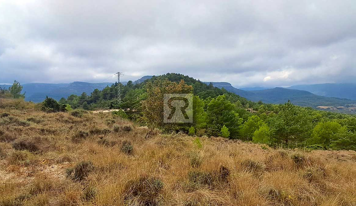 Finca rústica forestal de 1.8ha cerca del pueblo - Mont-ral (Tarragona) | Acampadas