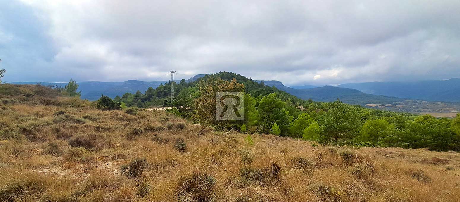 Finca rústica forestal de 1.8ha cerca del pueblo – Mont-ral (Tarragona) | Acampadas Finca rústica forestal de 1.8ha cerca del pueblo - Mont-ral (Tarragona) | Acampadas