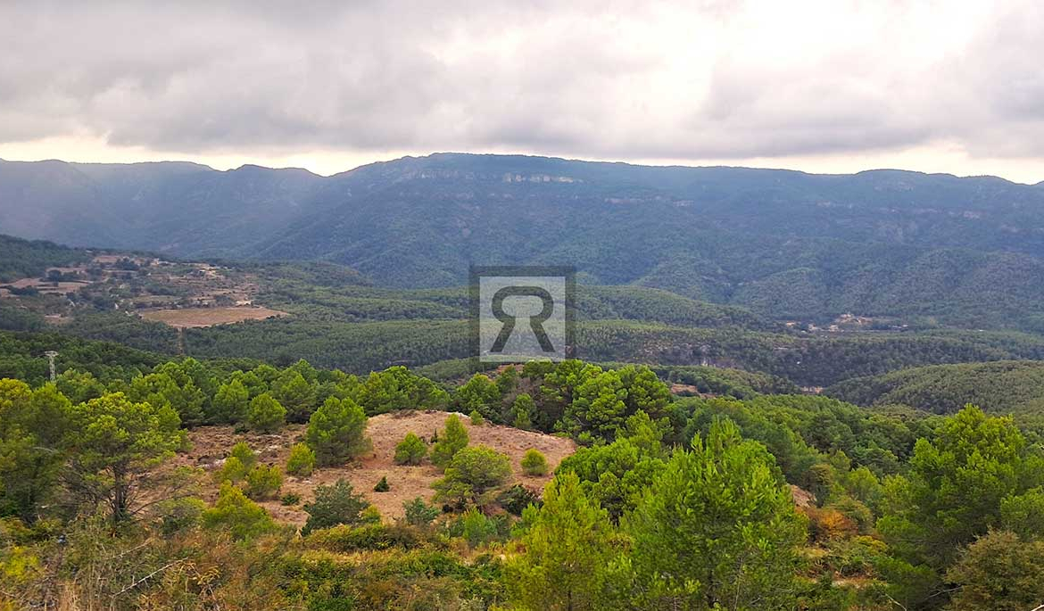 Finca rústica forestal de 1.8ha cerca del pueblo - Mont-ral (Tarragona) | Aire puro