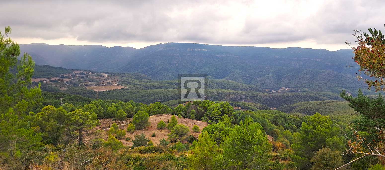 Finca rústica forestal de 1.8ha cerca del pueblo – Mont-ral (Tarragona) | Aire puro Finca rústica forestal de 1.8ha cerca del pueblo - Mont-ral (Tarragona) | Aire puro