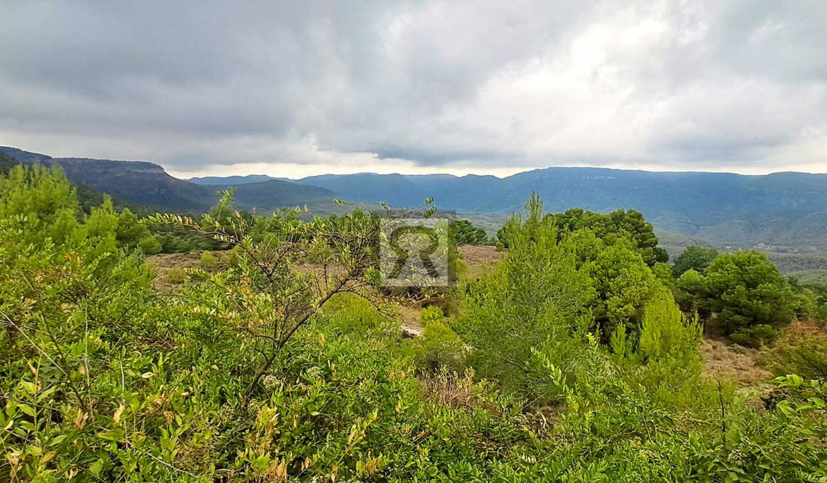 Finca rústica forestal de 1.8ha cerca del pueblo - Mont-ral (Tarragona) | Asociación cazadora