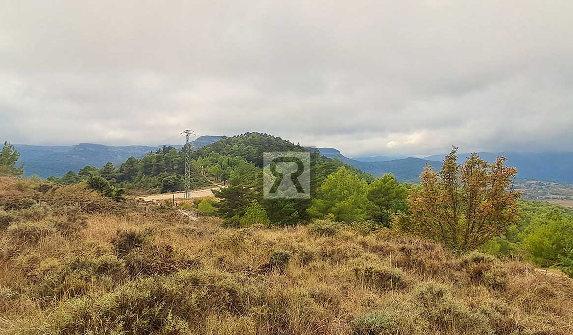Finca rústica forestal de 1.8ha cerca del pueblo - Mont-ral (Tarragona) | Bajo bosque