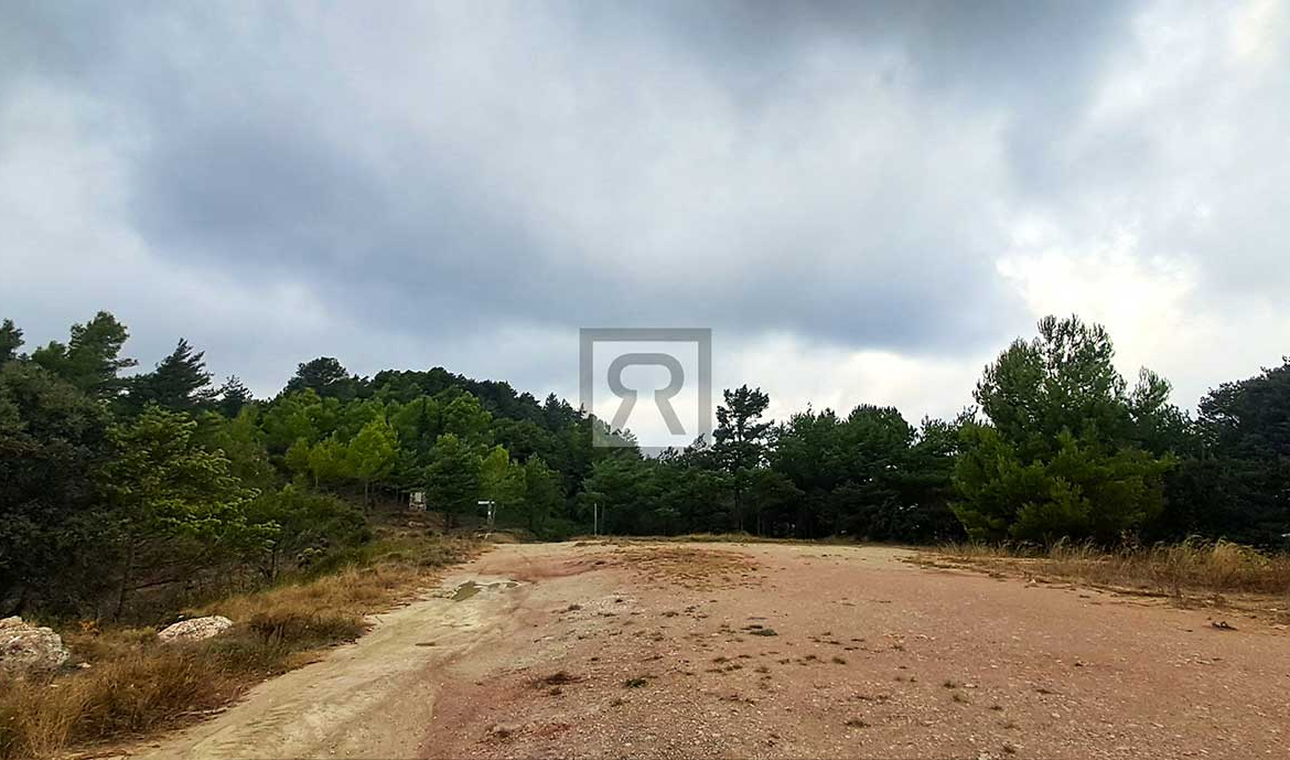 Finca rústica forestal de 1.8ha cerca del pueblo - Mont-ral (Tarragona) | Bosque
