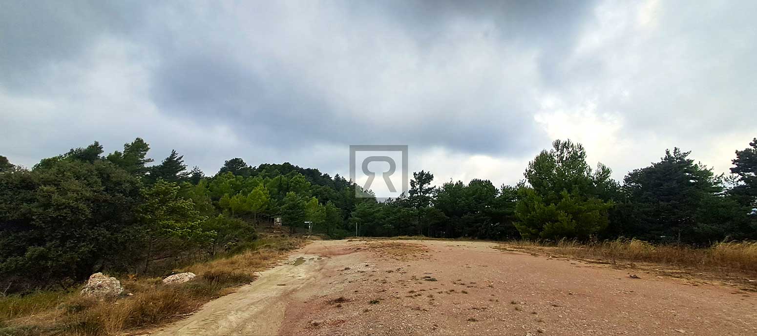 Finca rústica forestal de 1.8ha cerca del pueblo – Mont-ral (Tarragona) | Bosque Finca rústica forestal de 1.8ha cerca del pueblo - Mont-ral (Tarragona) | Bosque