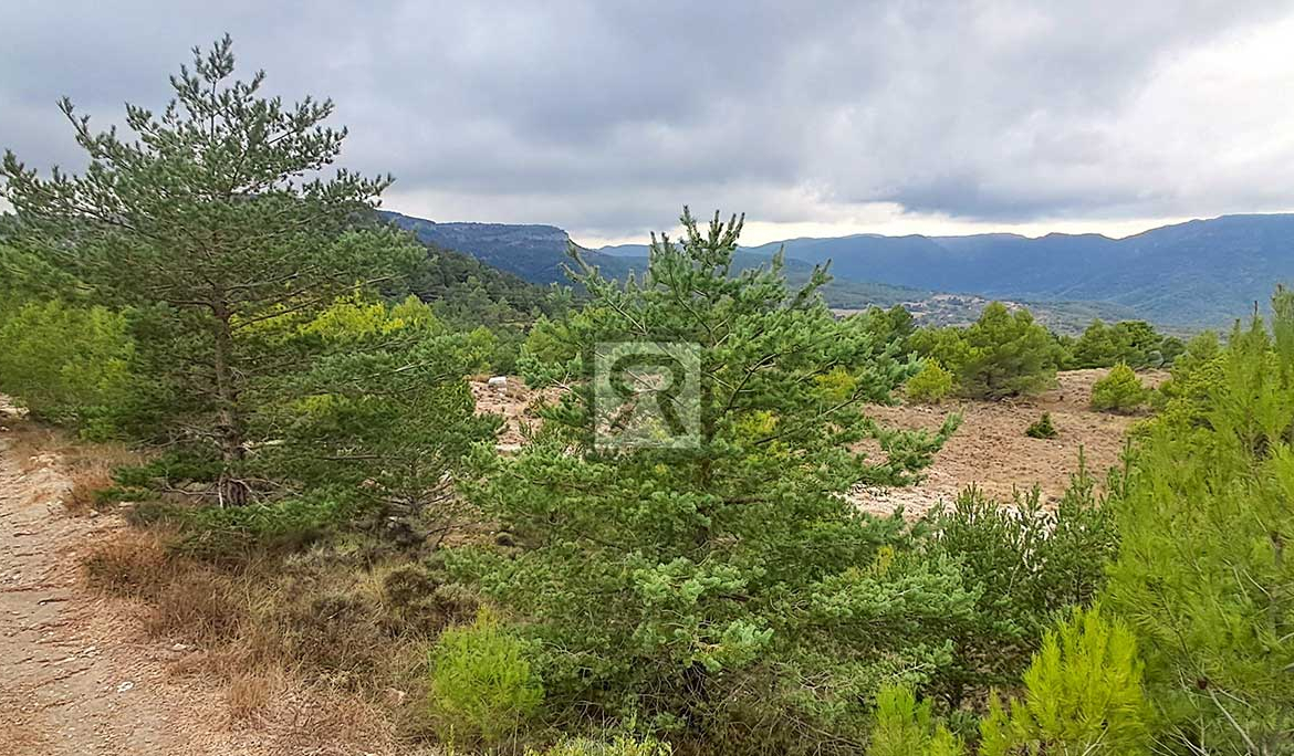 Finca rústica forestal de 1.8ha cerca del pueblo - Mont-ral (Tarragona) | Buen acceso