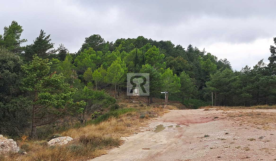Finca rústica forestal de 1.8ha cerca del pueblo - Mont-ral (Tarragona) | Caminos