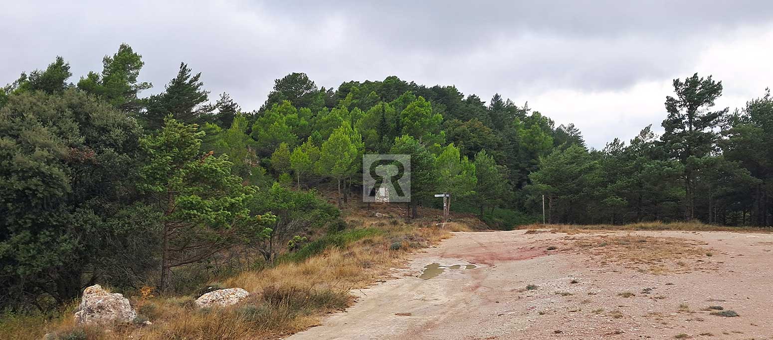 Finca rústica forestal de 1.8ha cerca del pueblo – Mont-ral (Tarragona) | Caminos Finca rústica forestal de 1.8ha cerca del pueblo - Mont-ral (Tarragona) | Caminos