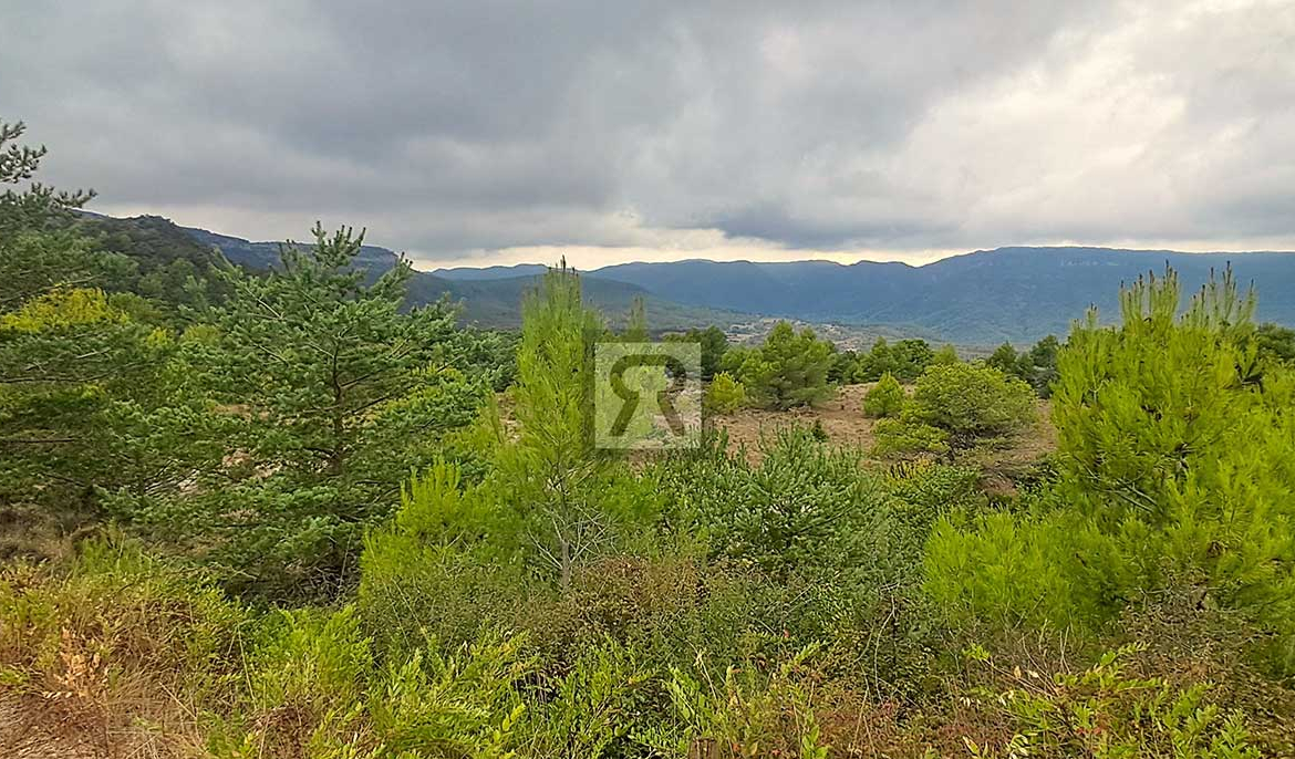 Finca rústica forestal de 1.8ha cerca del pueblo - Mont-ral (Tarragona) | Clima de montaña