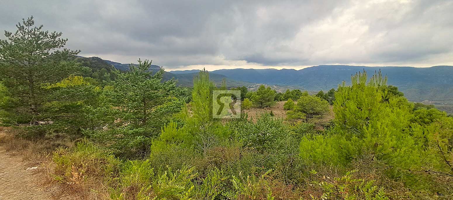 Finca rústica forestal de 1.8ha cerca del pueblo – Mont-ral (Tarragona) | Clima de montaña Finca rústica forestal de 1.8ha cerca del pueblo - Mont-ral (Tarragona) | Clima de montaña