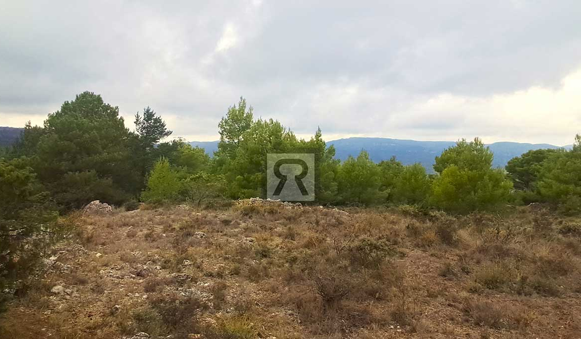 Finca rústica forestal de 1.8ha cerca del pueblo - Mont-ral (Tarragona) | Encina