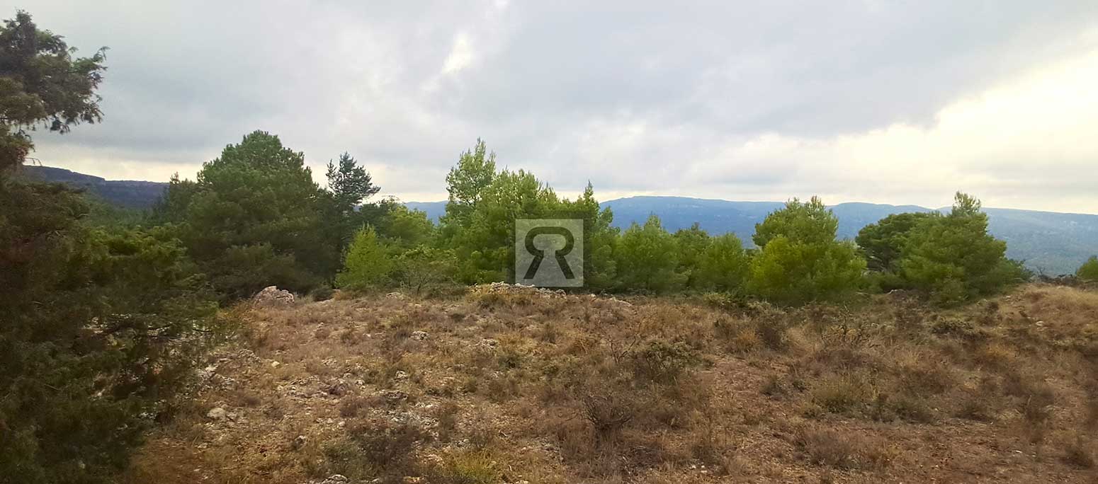 Finca rústica forestal de 1.8ha cerca del pueblo – Mont-ral (Tarragona) | Encina Finca rústica forestal de 1.8ha cerca del pueblo - Mont-ral (Tarragona) | Encina