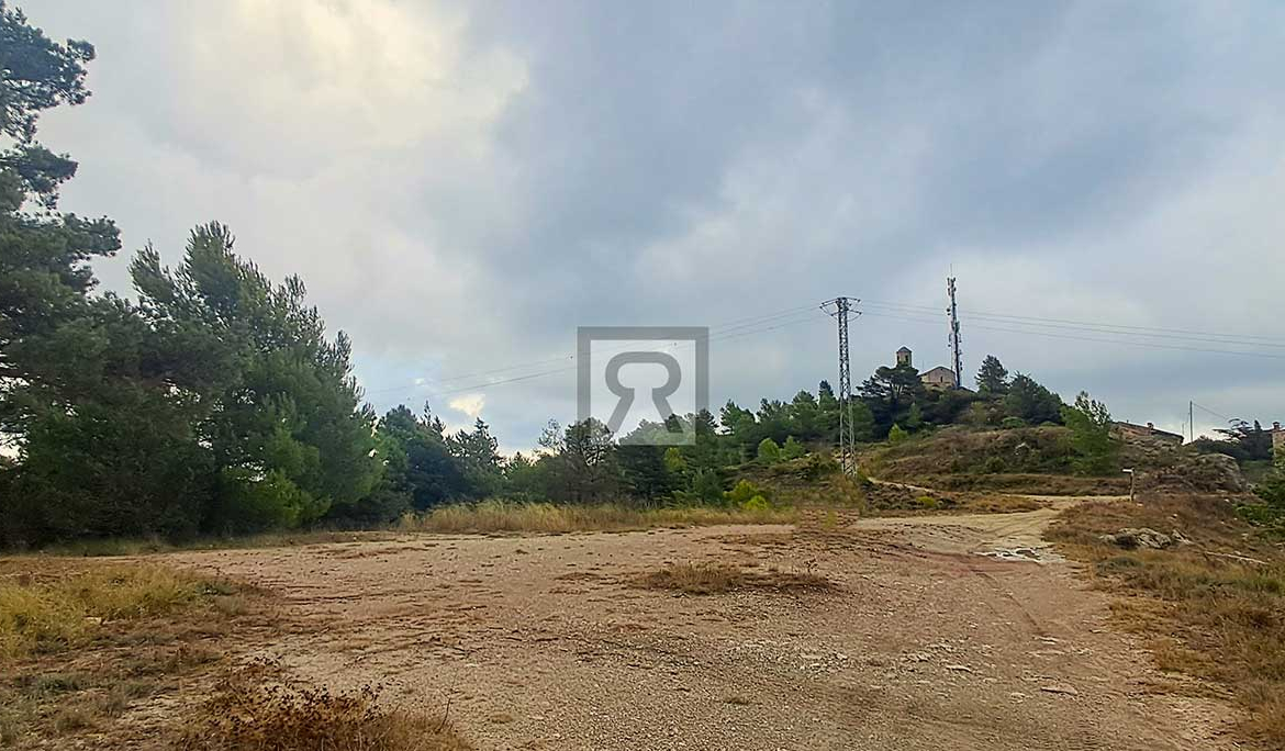 Finca rústica forestal de 1.8ha cerca del pueblo - Mont-ral (Tarragona) | Espárragos
