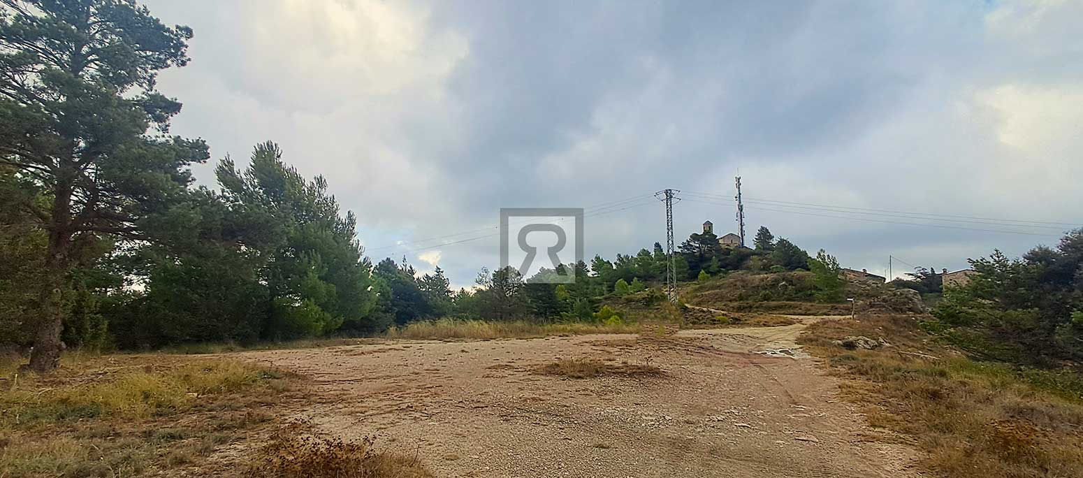 Finca rústica forestal de 1.8ha cerca del pueblo – Mont-ral (Tarragona) | Espárragos Finca rústica forestal de 1.8ha cerca del pueblo - Mont-ral (Tarragona) | Espárragos