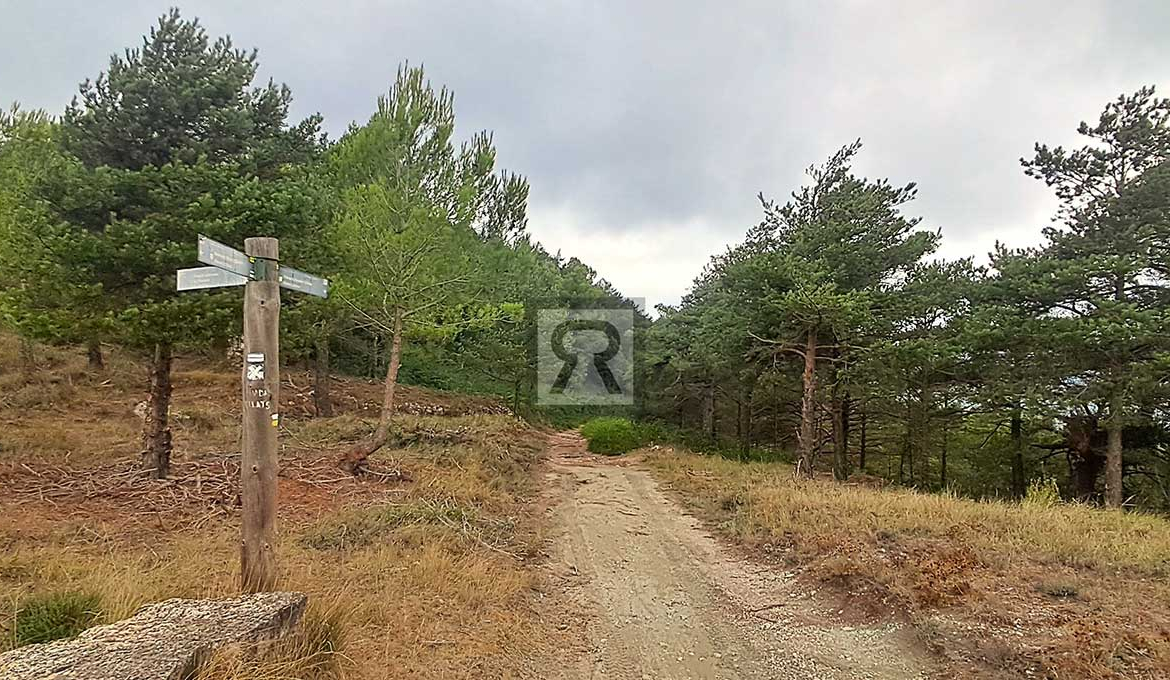 Finca rústica forestal de 1.8ha cerca del pueblo - Mont-ral (Tarragona) | Setas