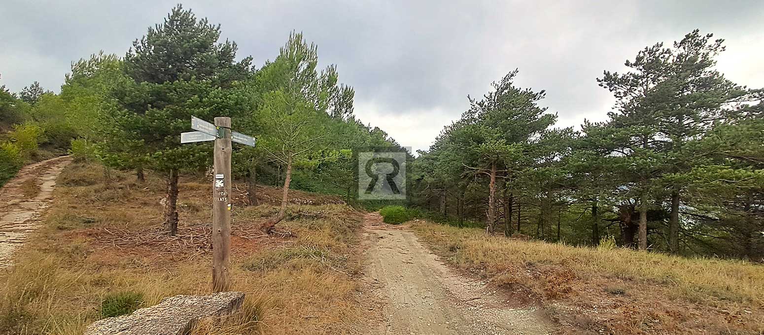 Finca rústica forestal de 1.8ha cerca del pueblo – Mont-ral (Tarragona) | Setas Finca rústica forestal de 1.8ha cerca del pueblo - Mont-ral (Tarragona) | Setas