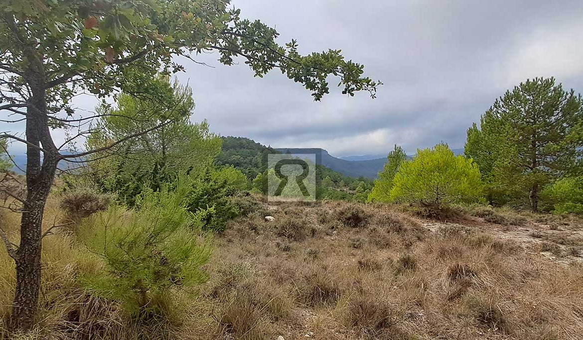 Finca rústica forestal de 1.8ha cerca del pueblo - Mont-ral (Tarragona) | Roble