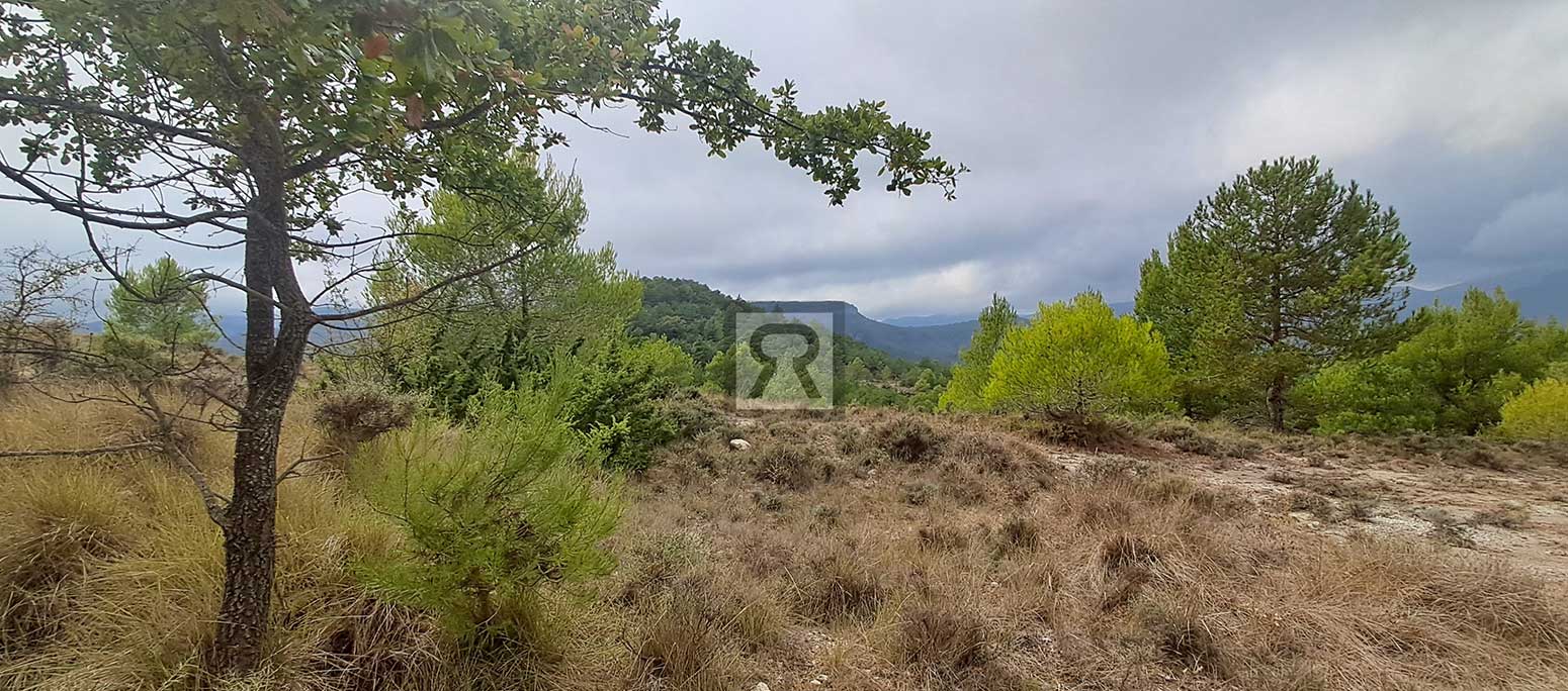 Finca rústica forestal de 1.8ha cerca del pueblo – Mont-ral (Tarragona) | Roble Finca rústica forestal de 1.8ha cerca del pueblo - Mont-ral (Tarragona) | Roble