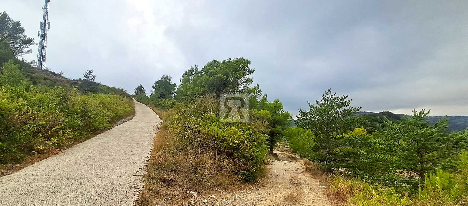 Finca rústica forestal de 1.8ha cerca del pueblo – Mont-ral (Tarragona) | Rutas Finca rústica forestal de 1.8ha cerca del pueblo - Mont-ral (Tarragona) | Rutas