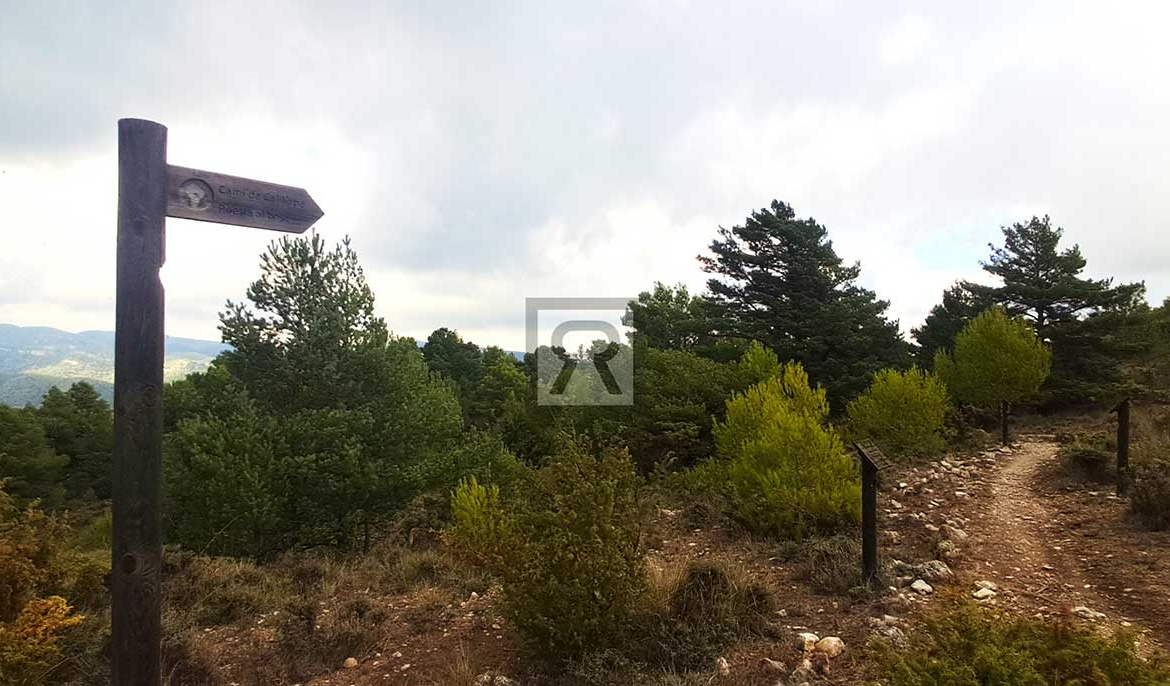 Finca rústica forestal de 1.8ha cerca del pueblo - Mont-ral (Tarragona) | Rutas con bici