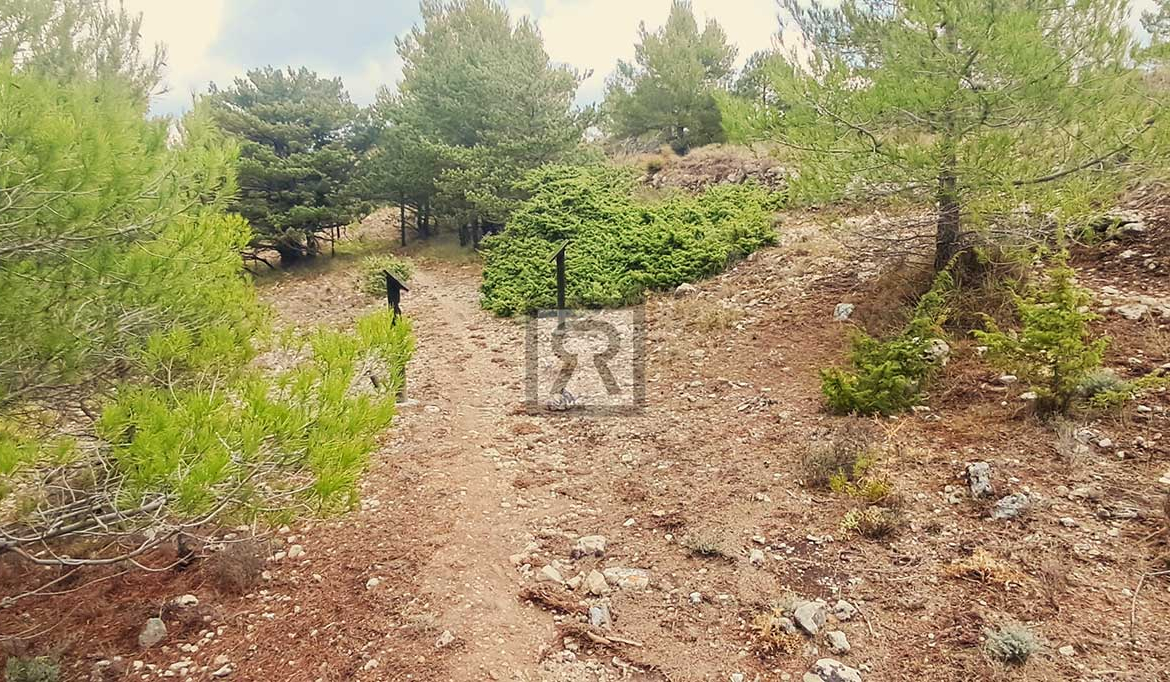 Finca rústica forestal de 1.8ha cerca del pueblo - Mont-ral (Tarragona) | Rutas con BTT