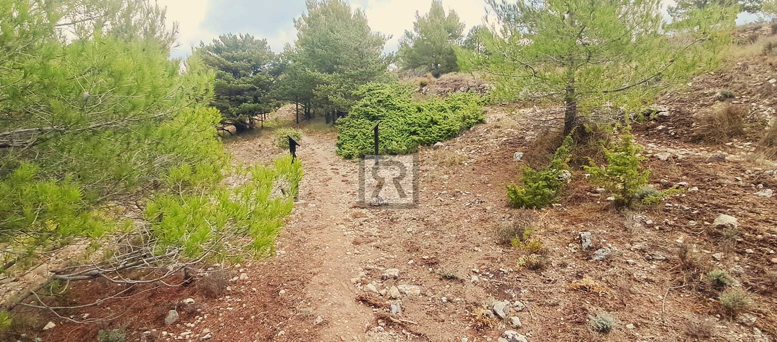 Finca rústica forestal de 1.8ha cerca del pueblo – Mont-ral (Tarragona) | Rutas con BTT Finca rústica forestal de 1.8ha cerca del pueblo - Mont-ral (Tarragona) | Rutas con BTT