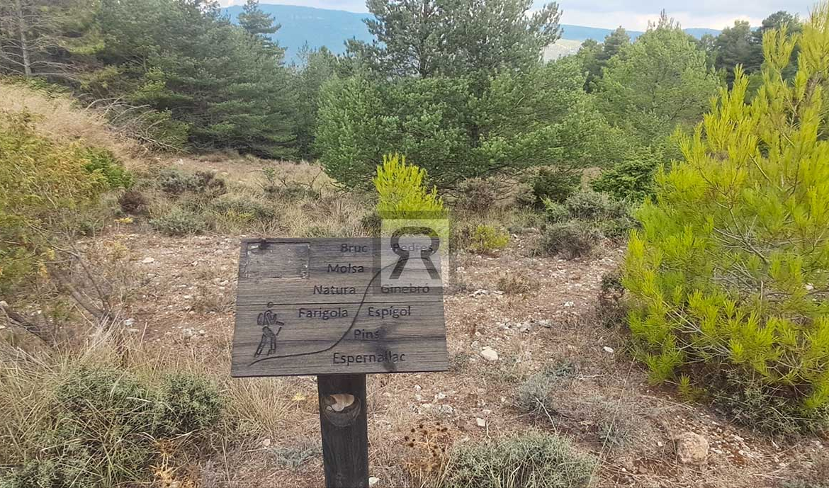 Finca rústica forestal de 1.8ha cerca del pueblo - Mont-ral (Tarragona) | Rutas senderismo