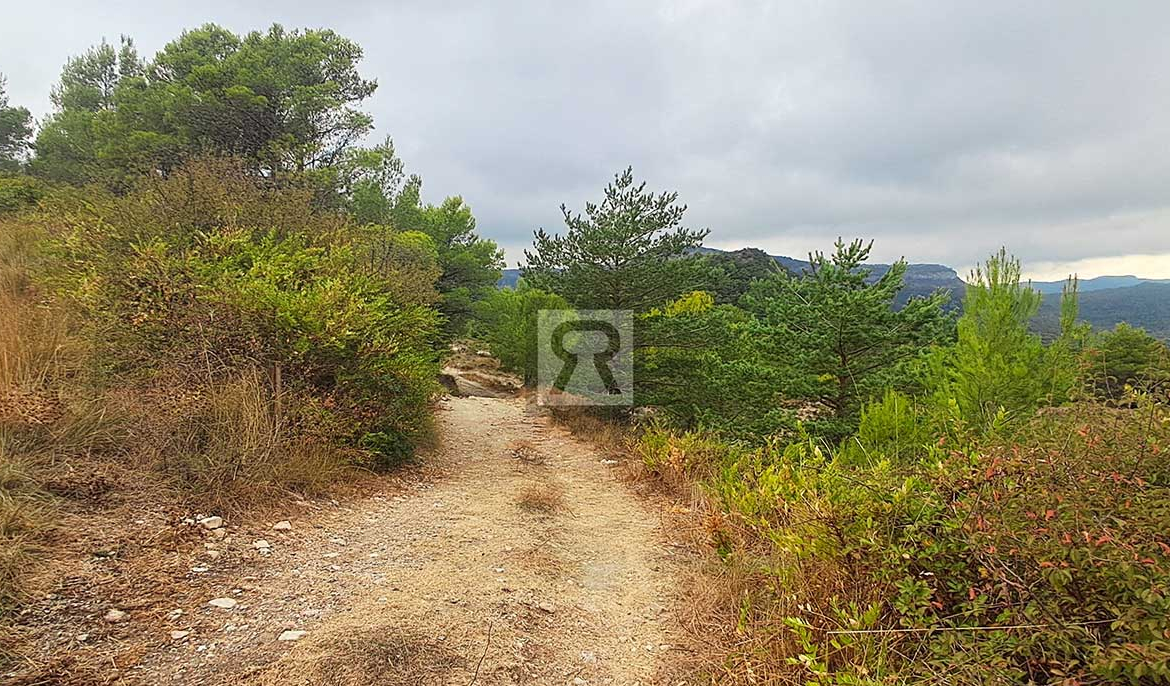 Finca rústica forestal de 1.8ha cerca del pueblo - Mont-ral (Tarragona) | Vistas idílicas