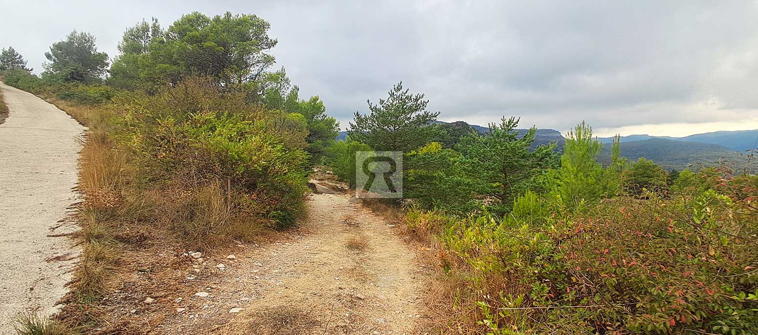 Finca rústica forestal de 1.8ha cerca del pueblo – Mont-ral (Tarragona) | Vistas idílicas Finca rústica forestal de 1.8ha cerca del pueblo - Mont-ral (Tarragona) | Vistas idílicas
