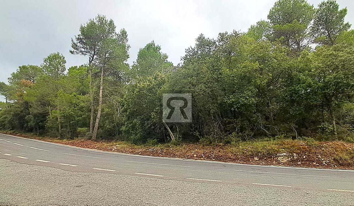 Finca rústica forestal de 20ha cerca de la carretera - Mont-ral (Tarragona) | Acampar